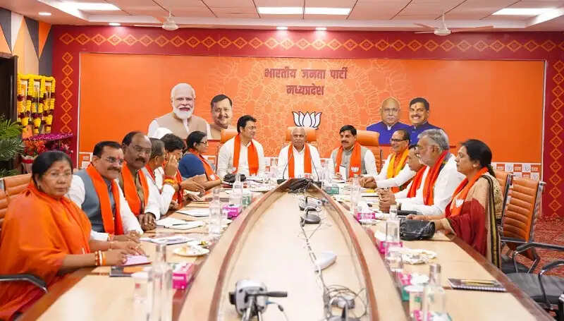 मप्र में भाजपा संगठन की मजबूती और जनसेवा के कार्यों को और प्रभावी बनाने पर कोर ग्रुप में हुआ मंथन