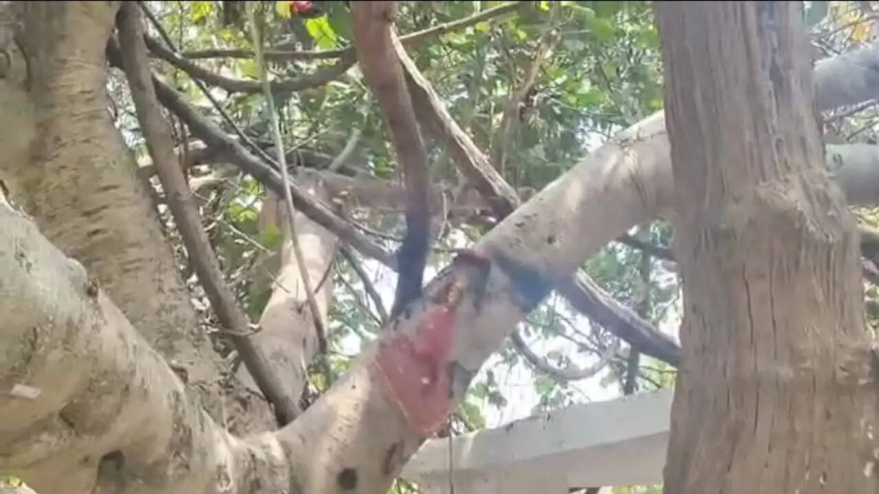 जशपुर : मंदिर में तोड़फोड़ व मूर्तियां खंडित, जल्द गिफ्तारी की मांग