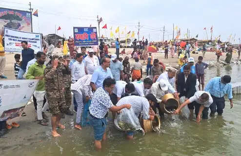 सिफरी संस्थान ने गंगा नदी में तीस हजार मछली संरक्षण के लिए छोड़ी