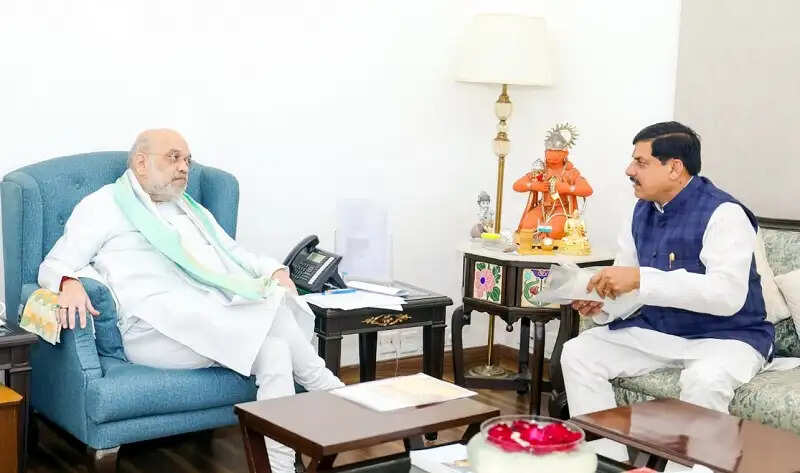 किसानों को कृषि कैबिनेट में देंगे होली की सौगात : मुख्यमंत्री डॉ. यादव