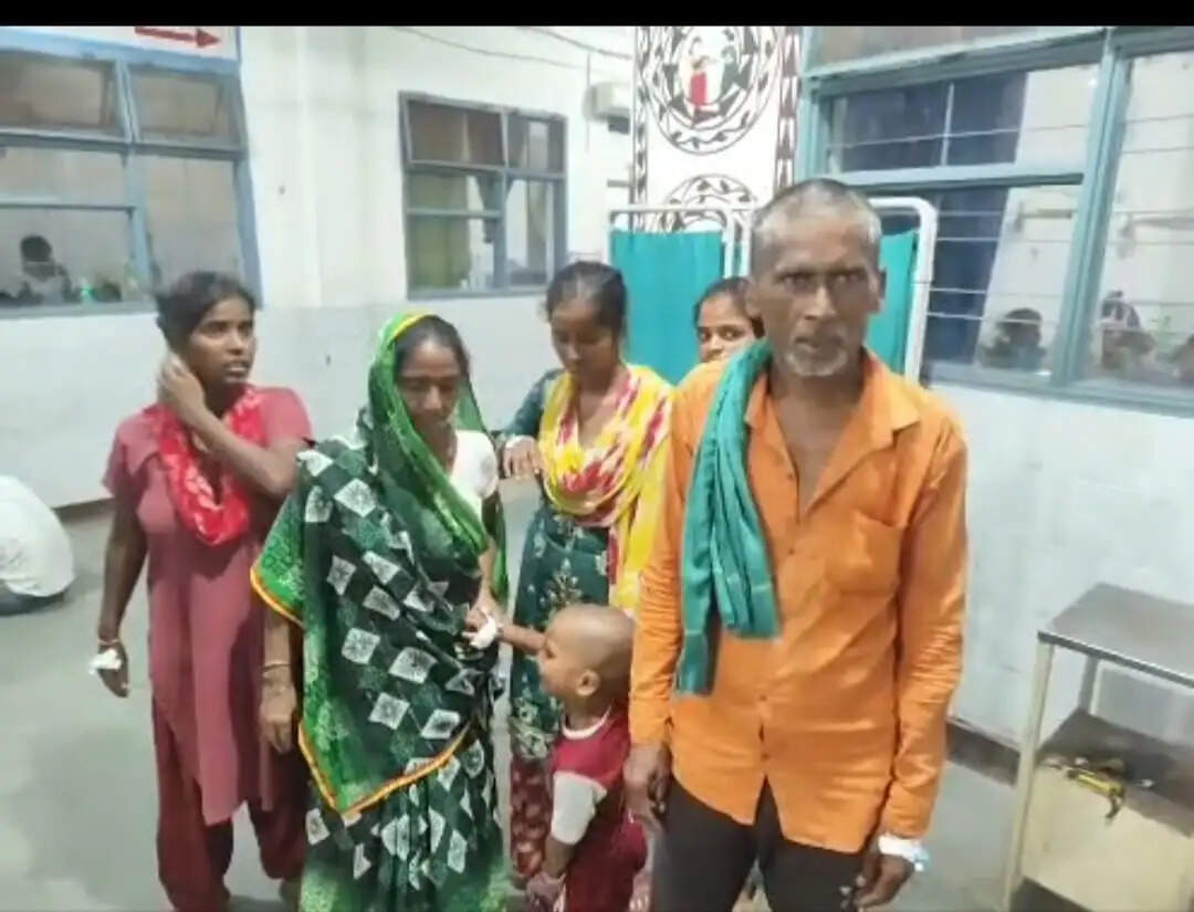 फर्रुखाबाद: सब्जी में गिरी छिपकली, खाने से एक ही परिवार के छह लोग बीमार