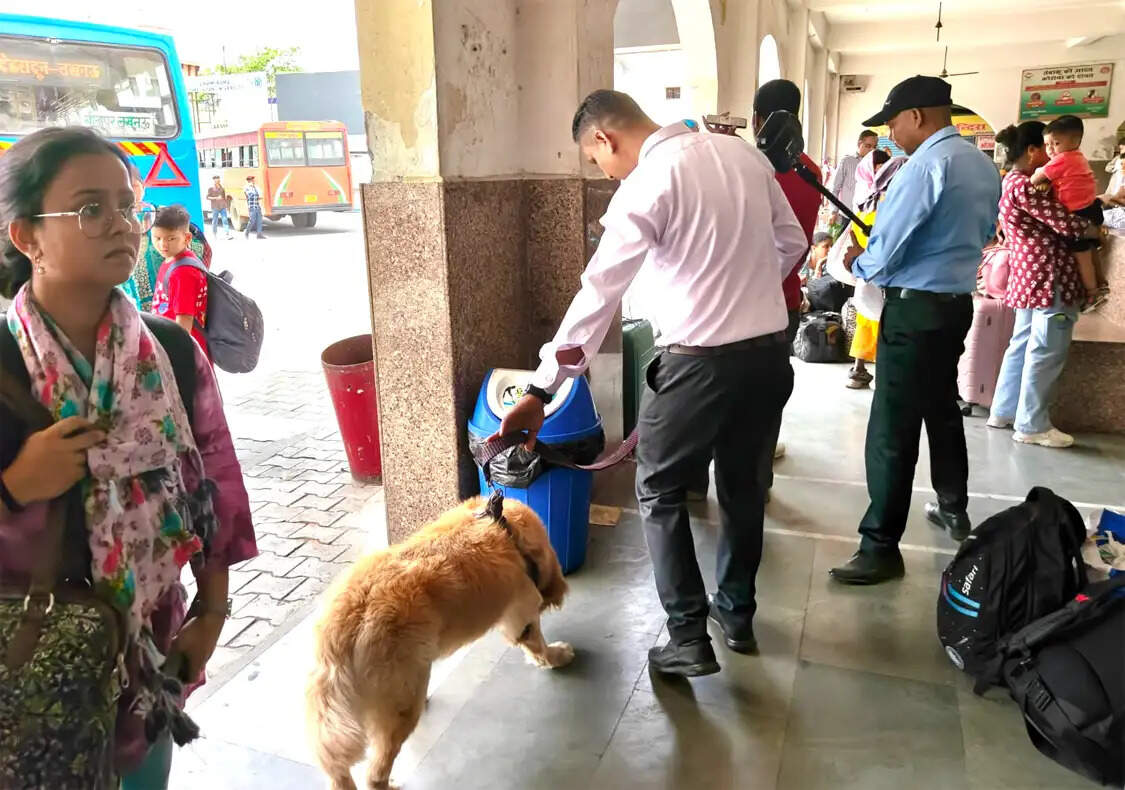 चारधाम यात्रा और गंगा दशहरा को लेकर हरिद्वार पुलिस अलर्ट, बीडीएस और डॉग स्क्वायड की सघन चेकिंग