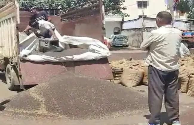 रेवाड़ी में मंडी फीस चोरी का भंडाफोड़, मिलर्स पर दो लाख का जुर्माना