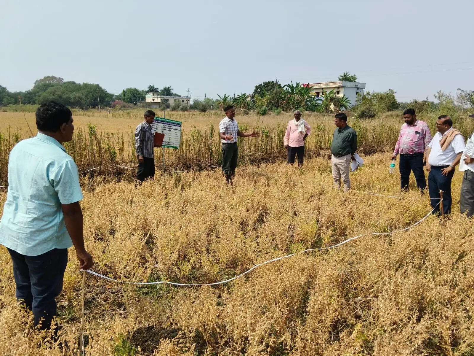 केन्द्रीय दल ने किया भ्रमण, चना फसल प्रदर्शन व बीज उत्पादन का लिया जायजा