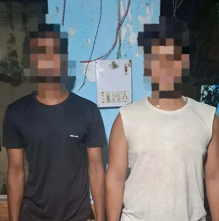 वाहन जांच के दौरान अवैध हथियार के साथ दो गिरफ्तार : एसपी