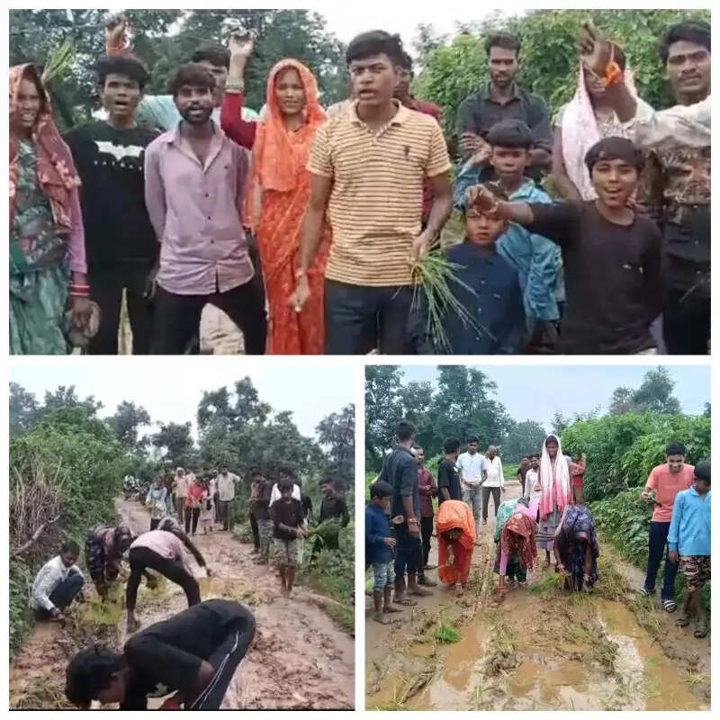 30 साल से सड़क का इंतजार, कीचड़ में धान रोपकर ग्रामीणों ने जताया विरोध; बोले-चल नहीं सकते तो फसल ही उगा लेंगे