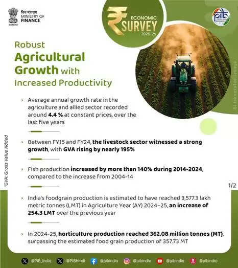 आर्थिक सर्वेक्षण : कृषि क्षेत्र में खाद्यान और बागवानी जैसे संबंद्ध क्षेत्र कर रहे निरंतर वृद्धि