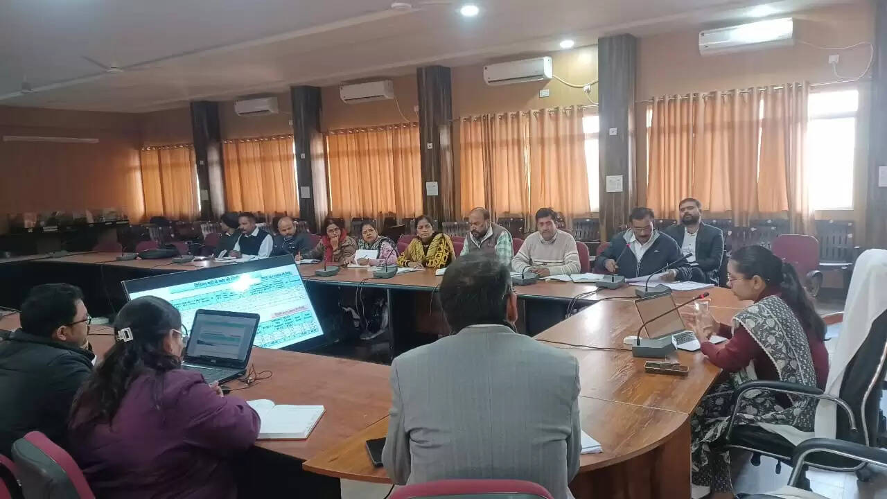 अनूपपुर: प्रोएक्टिव होकर टीम भावना से कार्य कर आजीविका दीदियो को बनाए आत्मनिर्भर- जिला पंचायत सीईओ