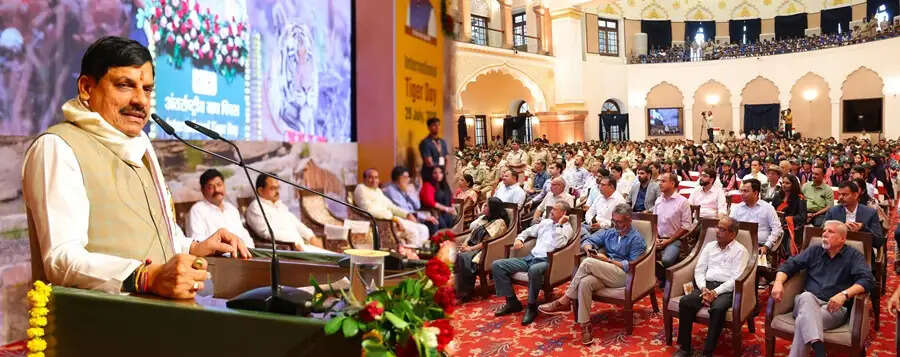(अपडेट) मप्र में निरंतर बढ़ रहा बाघों का कुनबा, नई गणना में संख्या 1000 से अधिक होने का अनुमान : मोहन यादव
