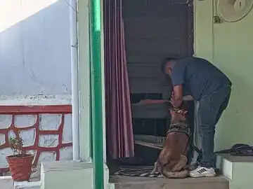 कोरबा : रिटायर्ड एएसआई के सूने घर में फिर चोरी, बारात में गए थे परिवार वाले