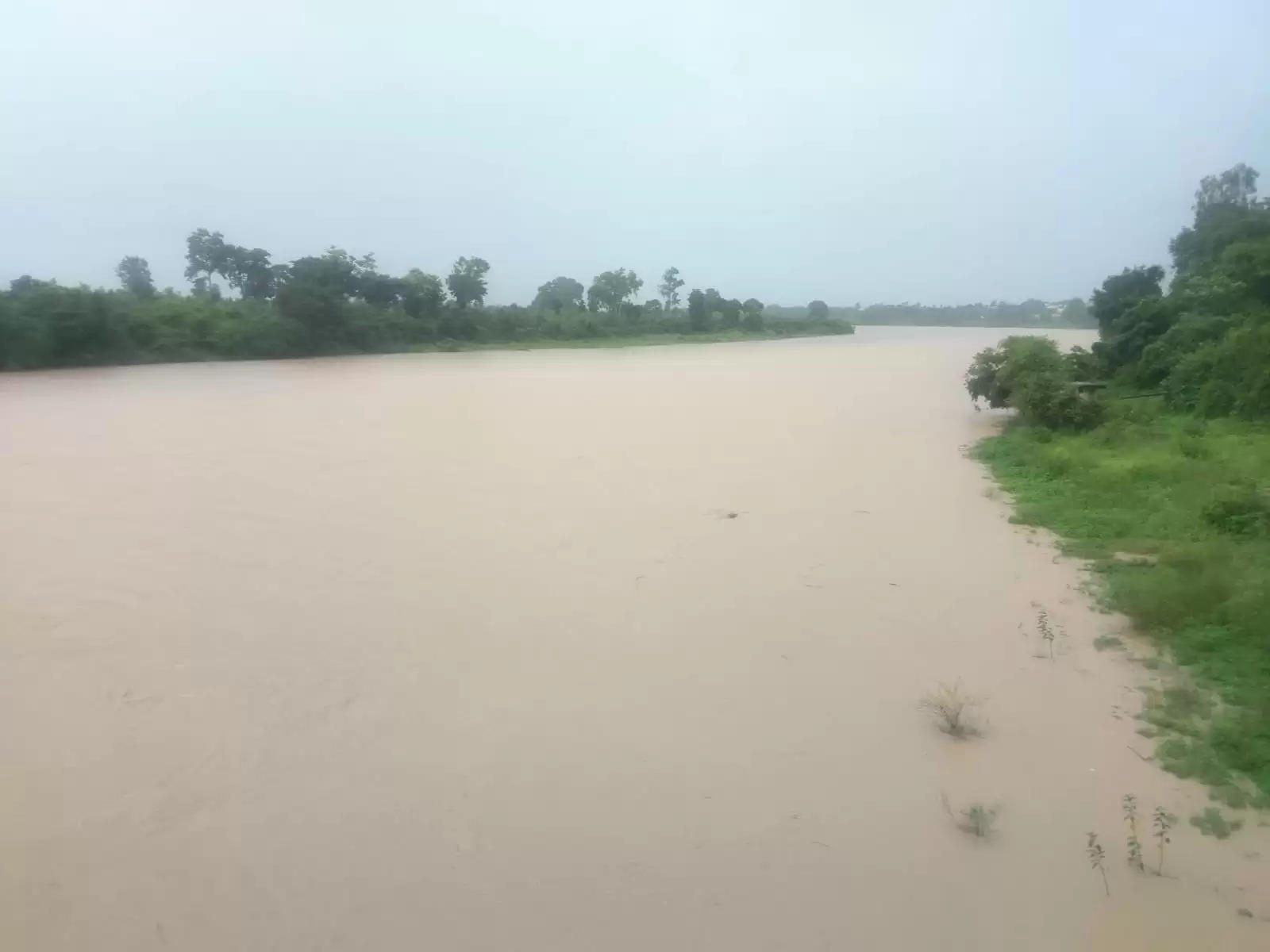 अनूपपुर: लगातार बारिश से जिला पानी-पानी, जनजीवन अस्त व्यस्त