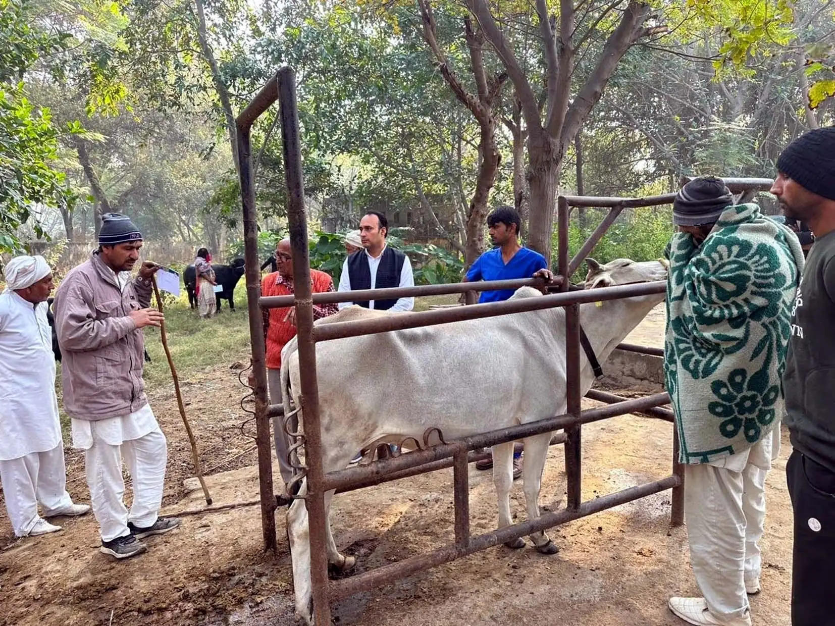 हिसार: 'स्वस्थ पशुधन, मजबूत किसान अभियान' का उद्देश्य पशुओं को रोग मुक्त करना: वीरेंद्र चौधरी