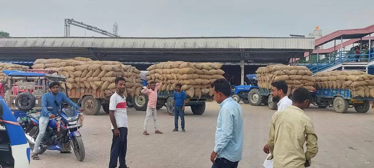 रैक प्वाइंट पर 70 लोगों को कुत्ता ने काटा,फारबिसगंज अनुमंडलीय अस्पताल में इलाज के लिए हुए भर्ती