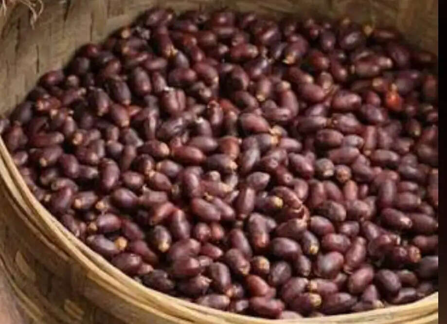 गांव में सड़क और तालाब किनारे लगे छिंद पेड़ से हो रही ग्रामीणों को आमदनी