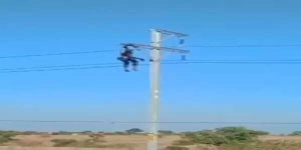 आगरमालवाः बिजली के खंबे पर मिला जला हुआ अज्ञात शव