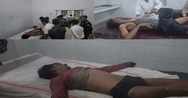 मैहर में दर्दनाक हादसा, कुएं में गिरे बैल को बचाने उतरे 3 ग्रामीणों की मौत, एक गंभीर