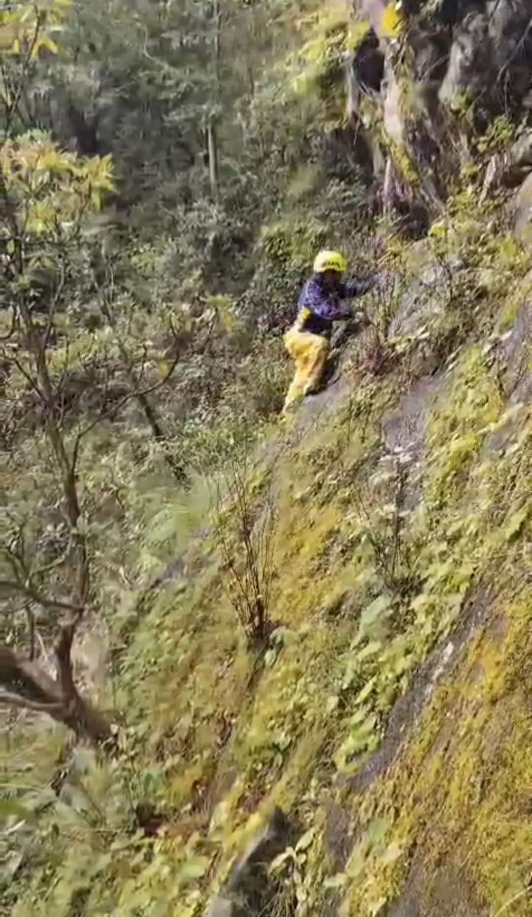 पहाड़ पर जंगल में भटके दो युवक, खड़ी चट्टान से असाधारण रेस्क्यू कर एसडीआरएफ ने बचाई जान