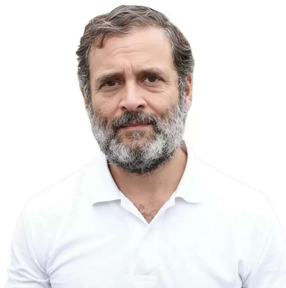 राहुल गांधी मानहानि मामले में न्यायालय ने वादी पक्ष को दी कड़ी चेतावनी, अगली सुनवाई 22 अप्रैल को