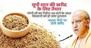 (संशोधित) कानपुर मंडल में 5.78 लाख कुंतल धान की खरीद, 10,920 किसानों को सीधा लाभ