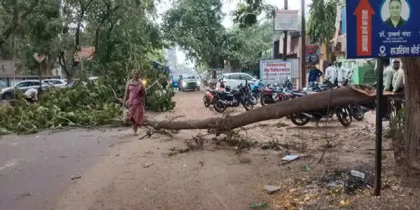 धमतरी में तेज आंधी से जनजीवन अस्त-व्यस्त, पेड़ गिरे और बिजली व्यवस्था प्रभावित