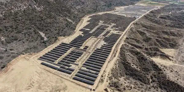 ताला में स्थापित हुआ प्रदेश का सबसे बड़ा कुसुम सौर ऊर्जा संयंत्र