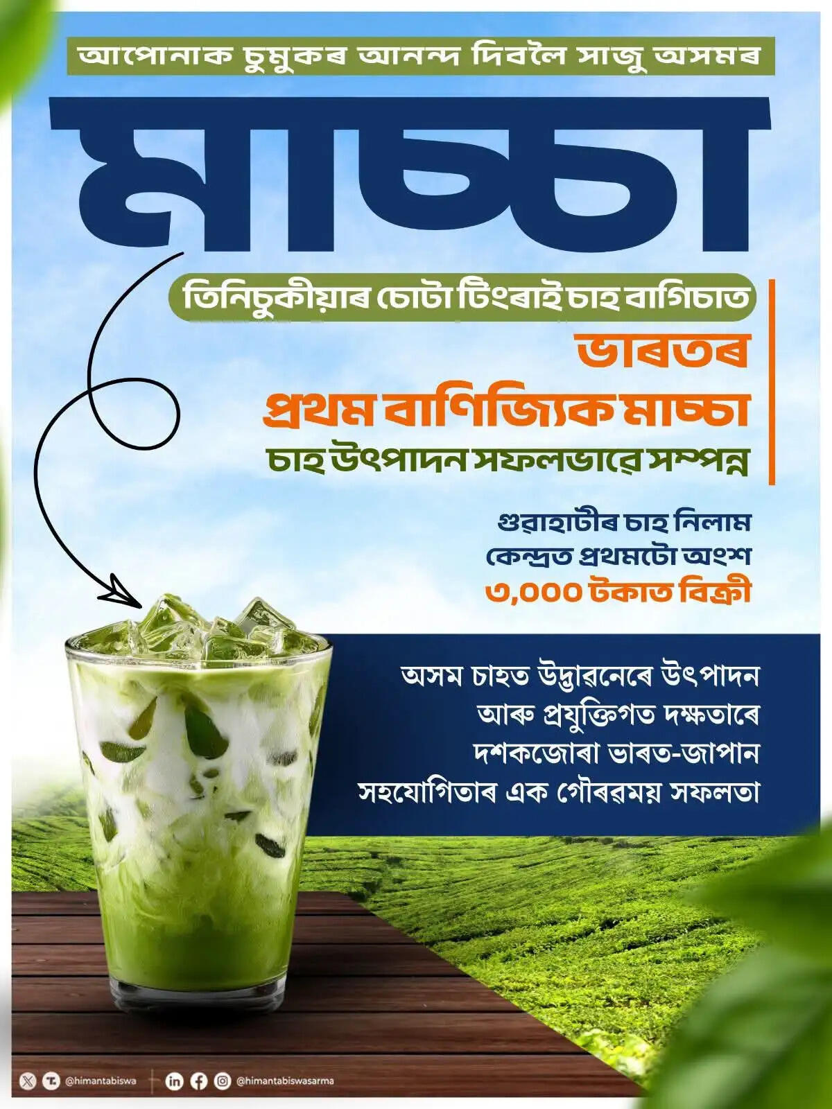 असम में शुरू हुआ माचा चाय का व्यावसायिक उत्पादन, देश का पहला राज्य बना