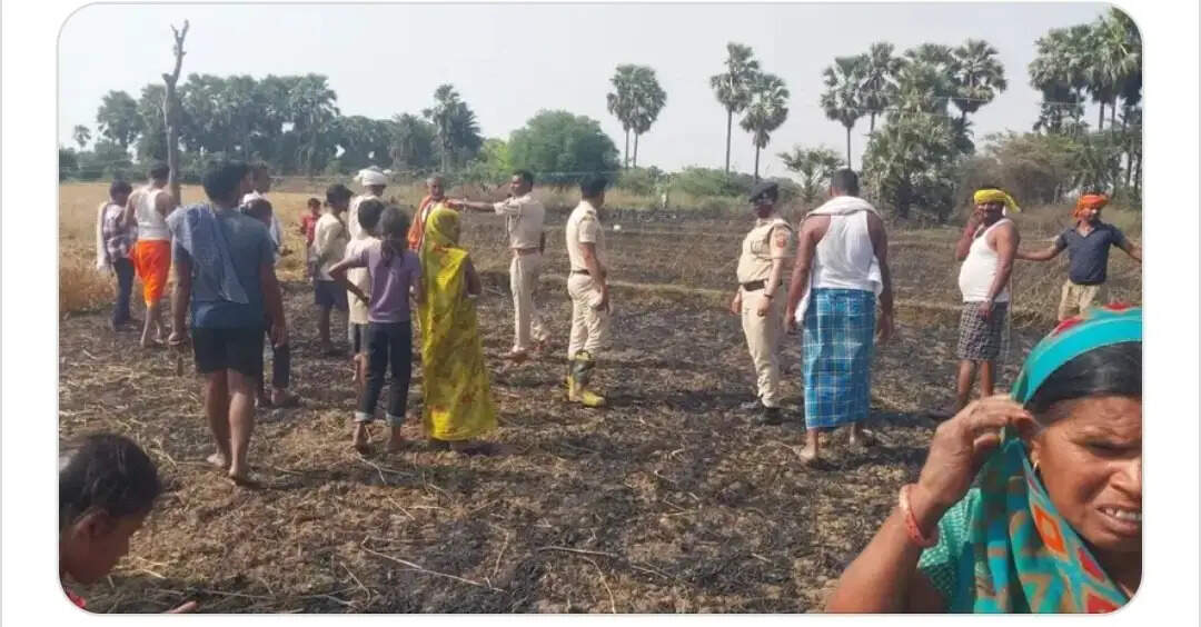 थरथरी क्षेत्र के चार गांवों में गेहूं की फसल में लगी आग