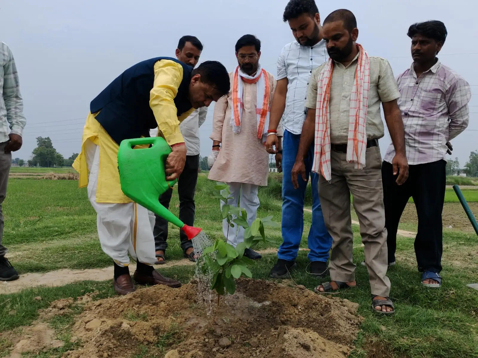 एक पेड़ मां के नाम अभियान के तहत सांसद ने किया पाैधराेपण