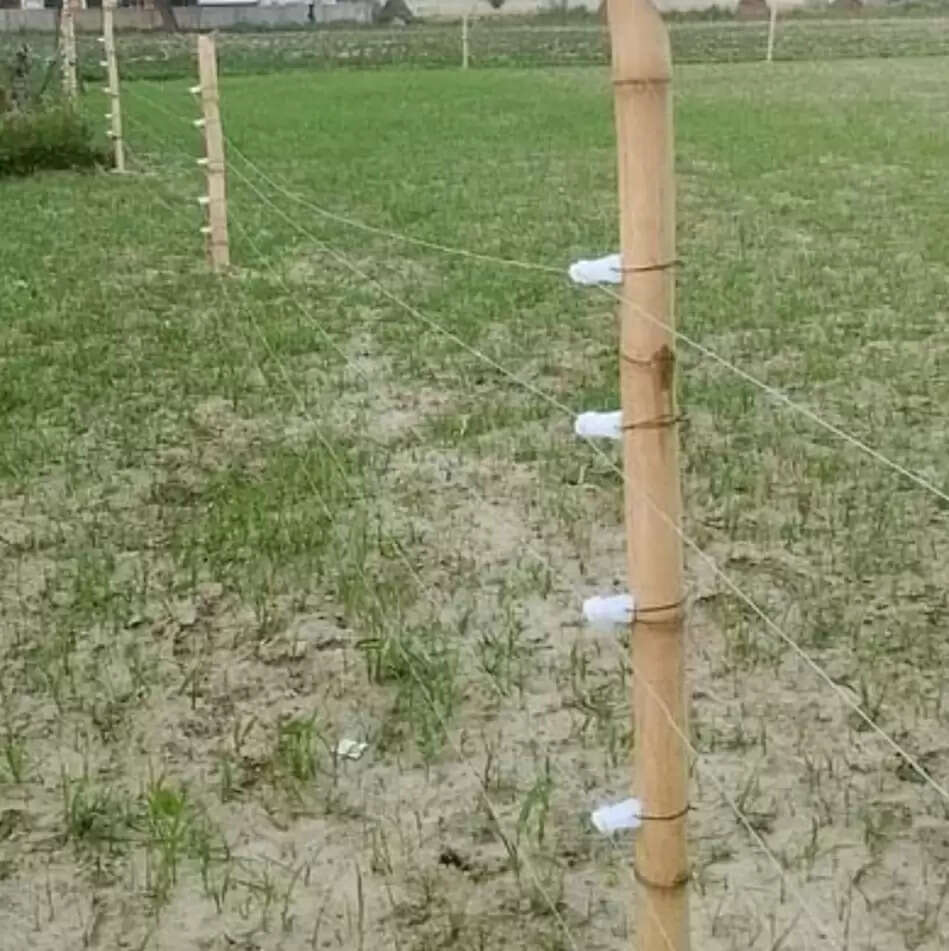 करंट की चपेट में आने से किसान की मौत