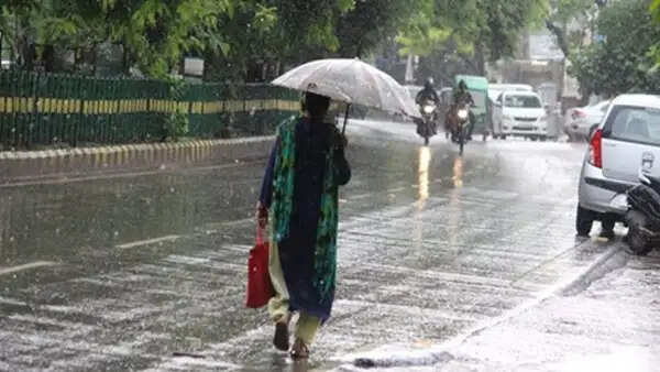 मध्य प्रदेश में मानसून की रफ्तार धीमी, 43 जिलों में आज बारिश का अलर्ट, ग्वालियर-चंबल में सबसे आखिर में होगी एंट्री