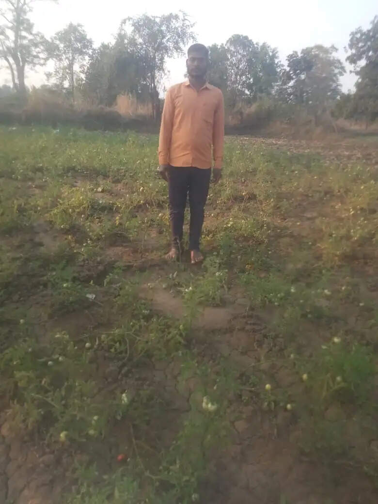 अनूपपुर: बाघ और हाथियों से परेशान ग्रामीण: पेड़ पर&nbsp;चढ़कर युवक ने बचाई जान