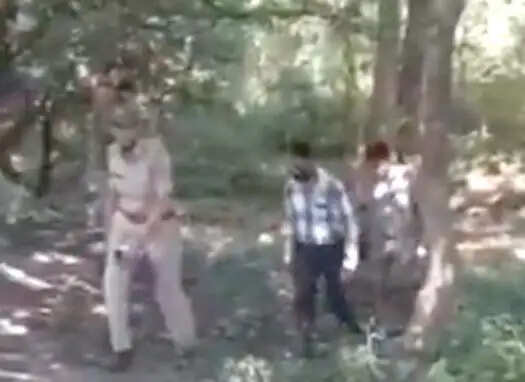 राजाजी टाइगर रिजर्व में हथिनी का शव मिला, पहाड़ी से गिरने की आशंका