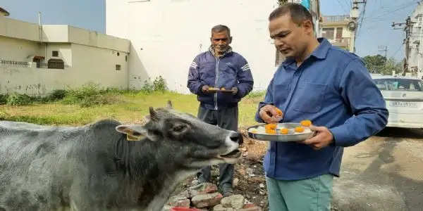 गौ माता को फूल मालाओं से सजाया ,पकवानों का लगाया भोग