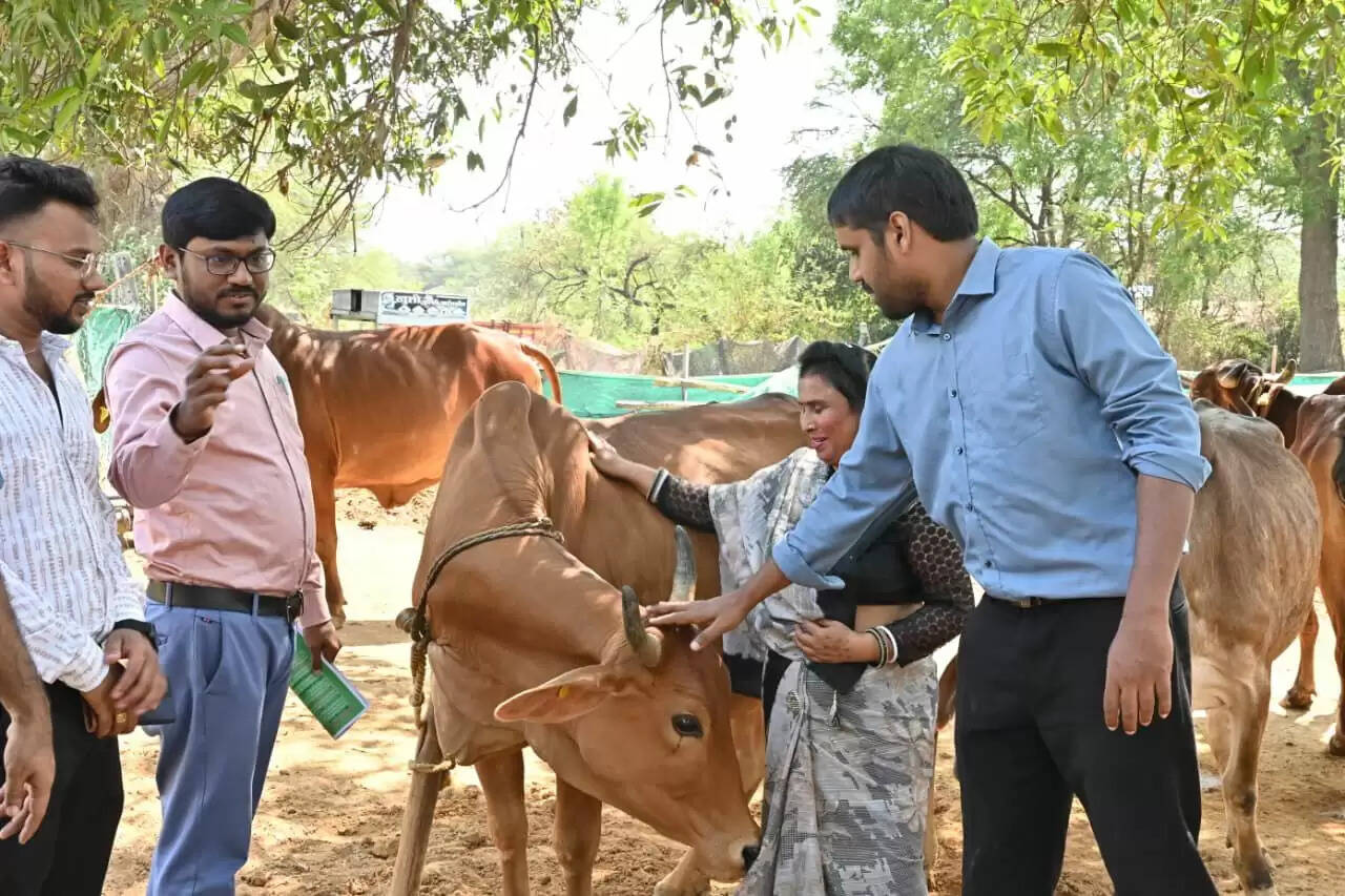 भेण्ड्री में गौधाम, कुक्कुट पालन और एमयूसी को मिलेगी नई रफ्तार
