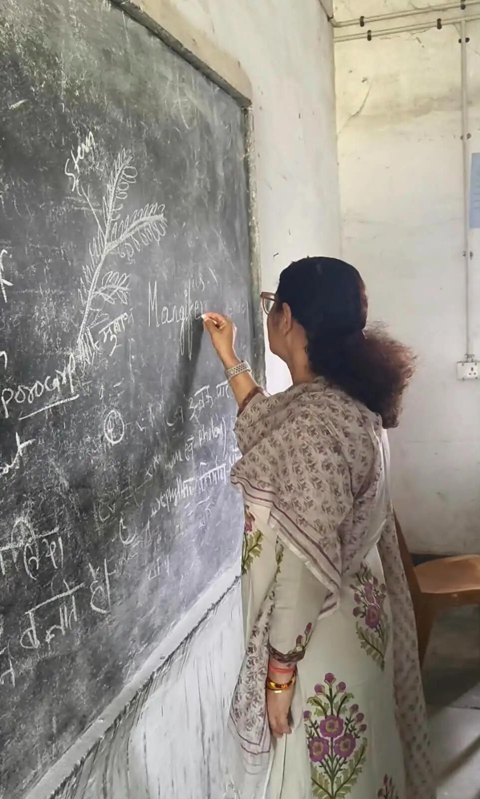 ब्लैकबोर्ड पर ‘मैंगिफेरा इंडिका’ लिख कलेक्टर ने पूछा सवाल, ग्लोब से समझाया भूगोल