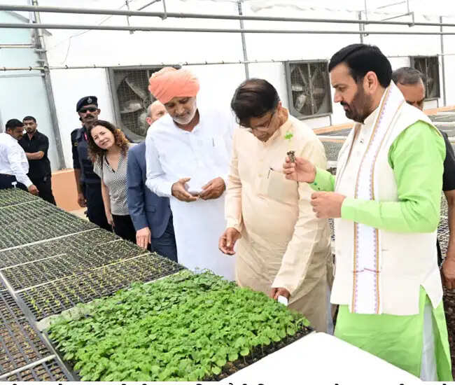 मुख्यमंत्री ने झज्जर में 75 करोड़ की नौ विकास परियोजनाएं आमजन को सौंपी