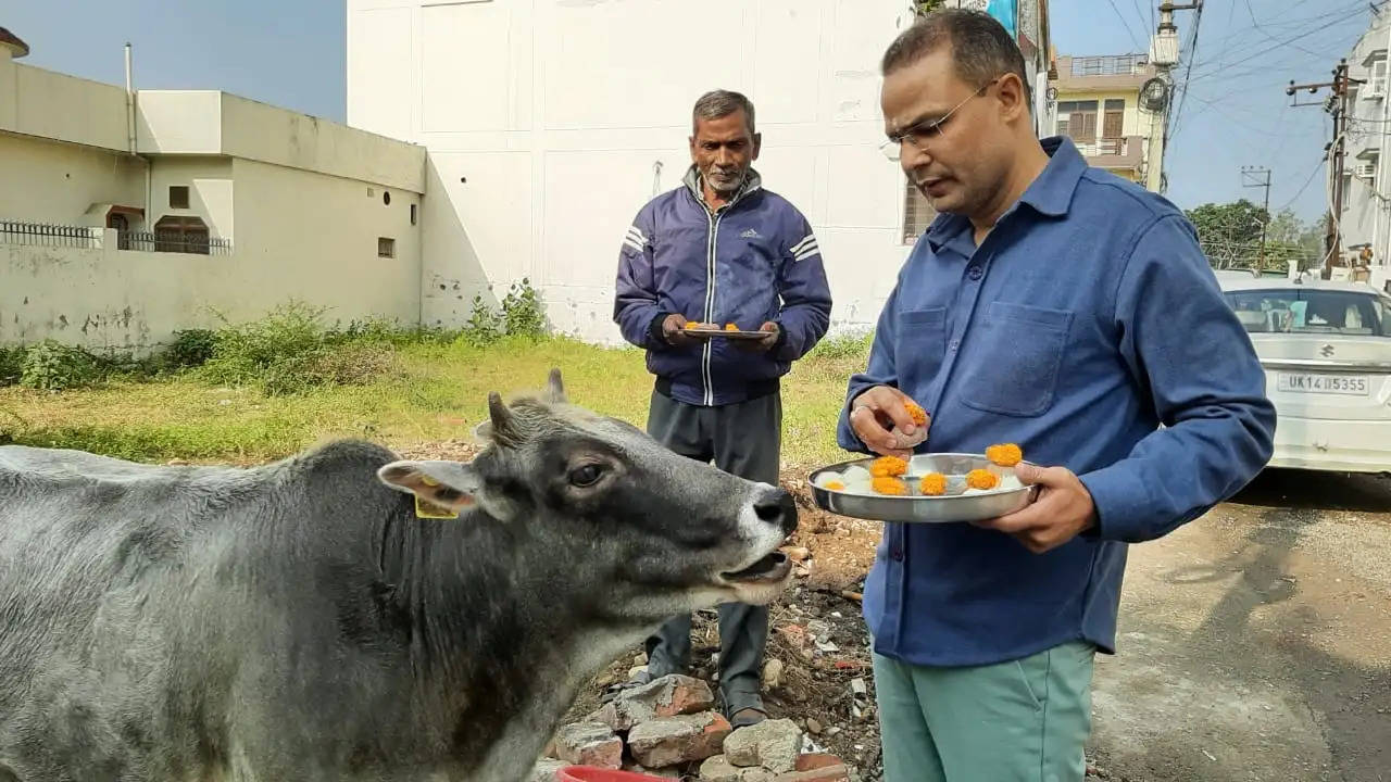 गौ माता को फूल मालाओं से सजाया ,पकवानों का लगाया भोग