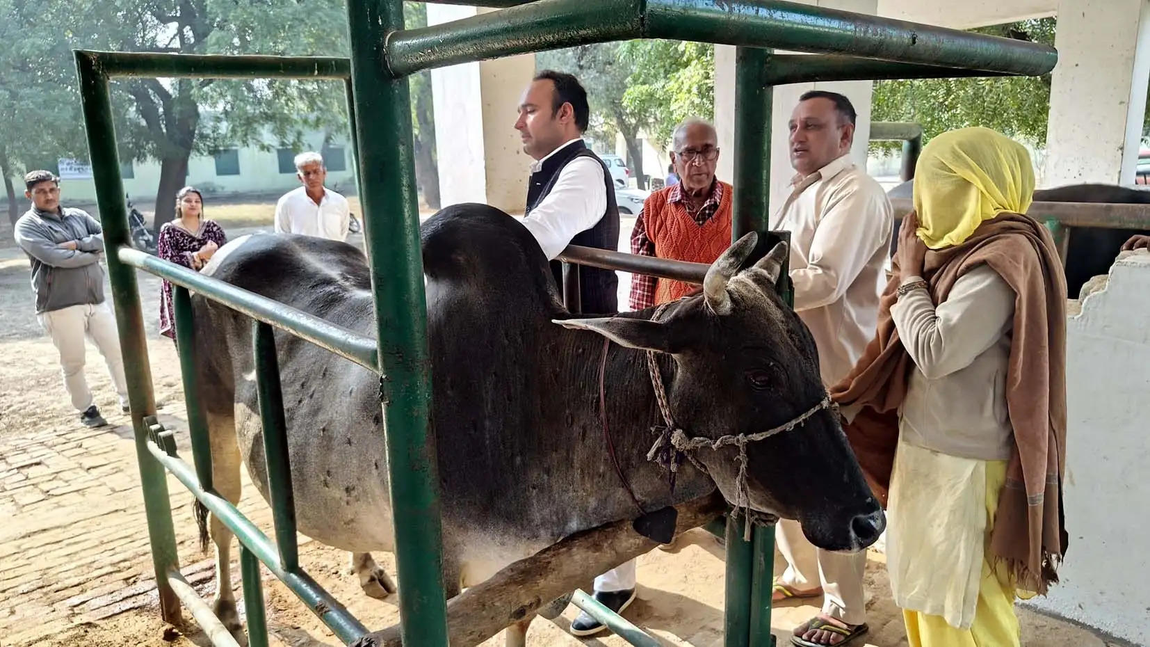 हिसार: स्वस्थ पशुधन किसानों की आर्थिक व शारीरिक मजबूती का आधार: वीरेंद्र चौधरी