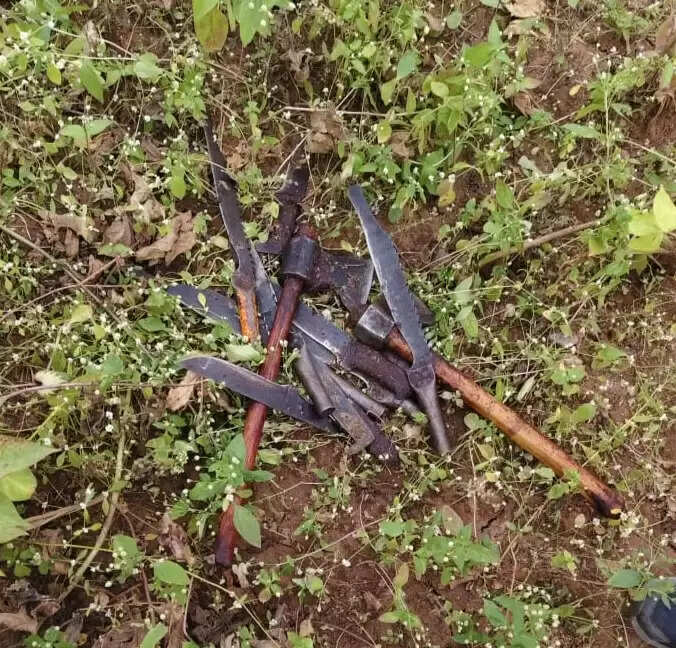 झाबुआ: जिले के मेघनगर थाना क्षेत्र में तीन गायों की क्रूरता पूर्वक जघन्य हत्या; पुलिस ने तीन को किया गिरफ्तार