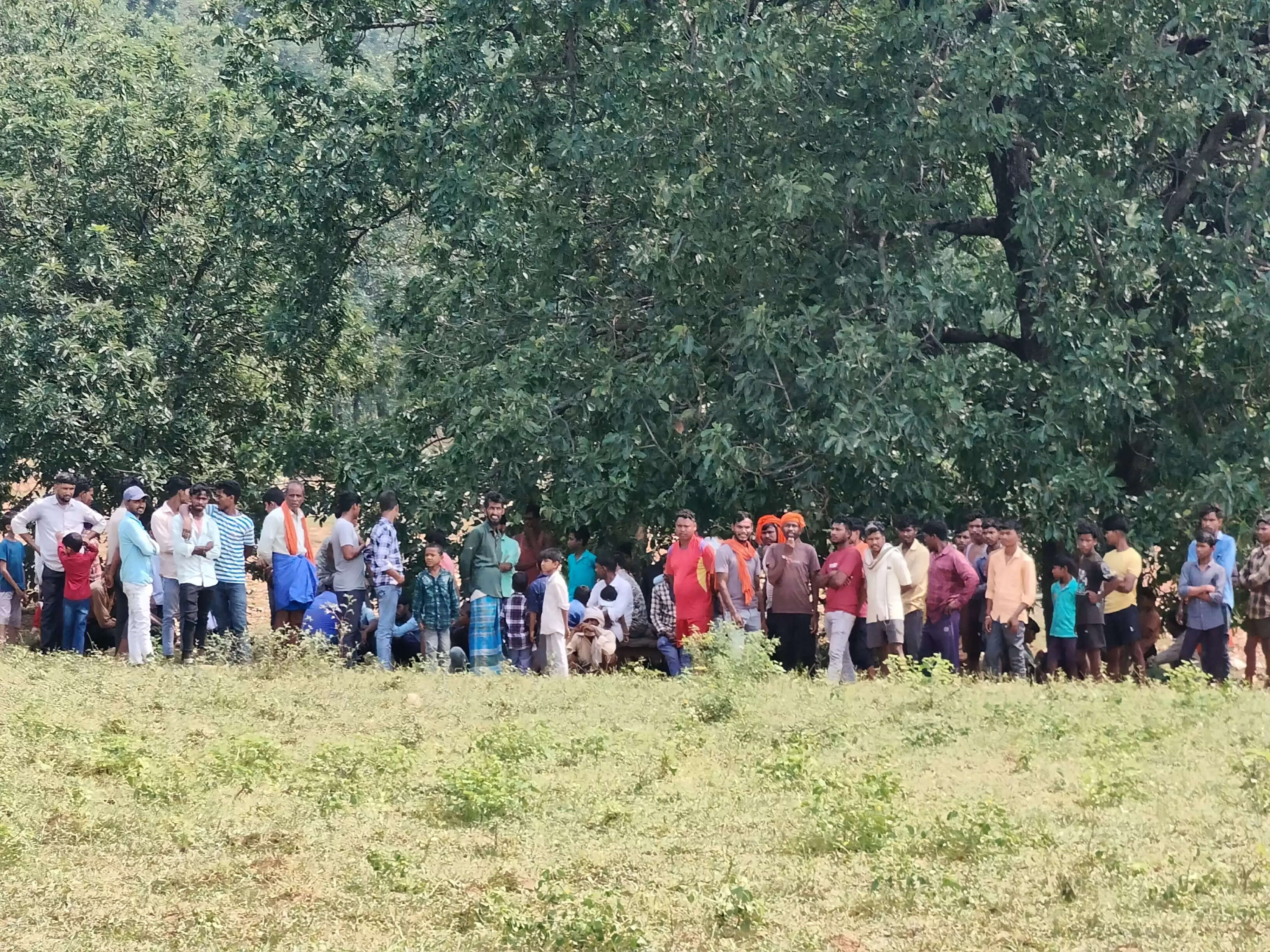 बलरामपुर : रामानुजगंज रेंज में नर हाथी की मौत