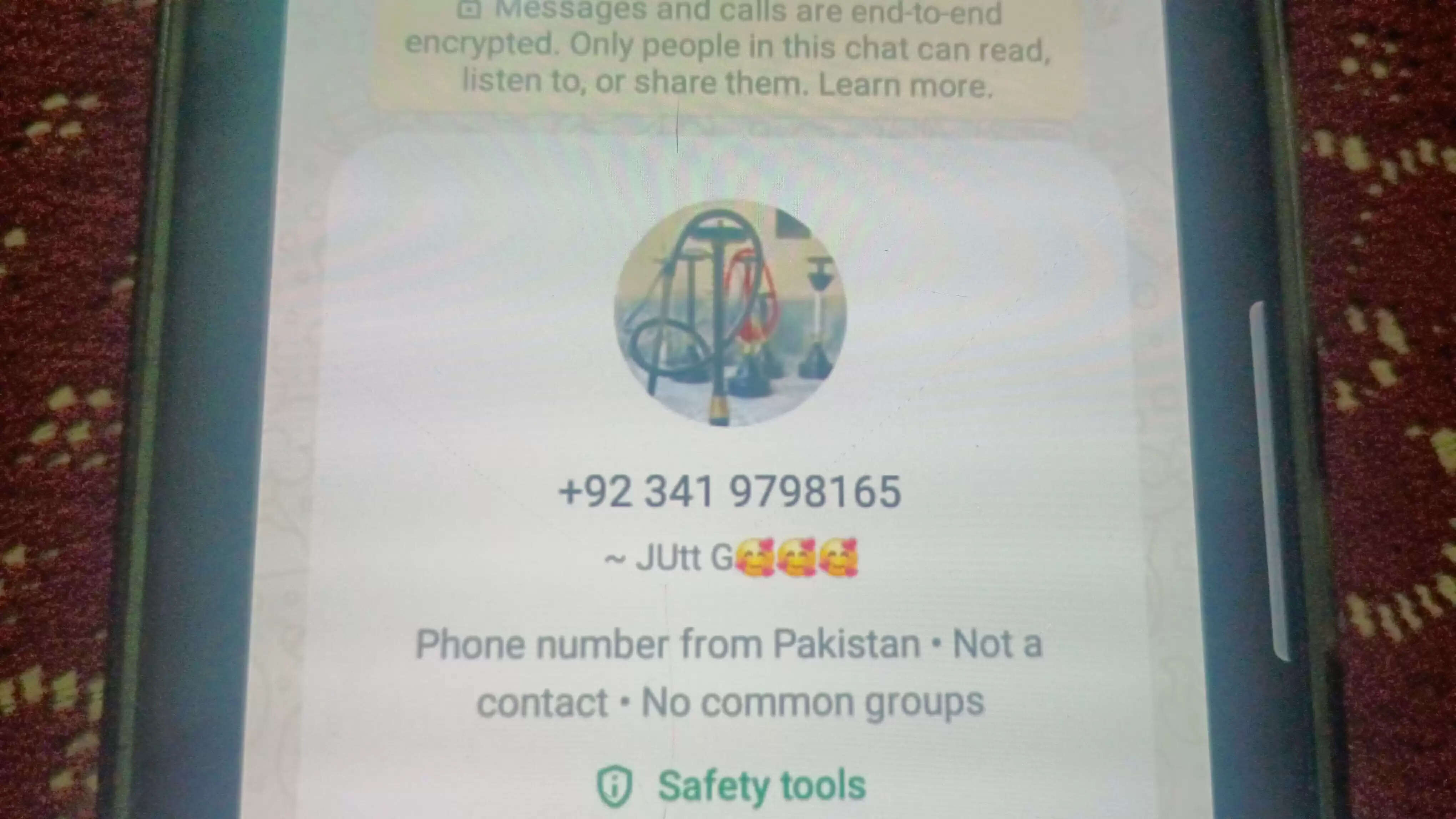 मॉडल एकता तिवारी को पाकिस्तानी नंबर से आया संदिग्ध संदेश, जांच में जुटी एजेंसियां