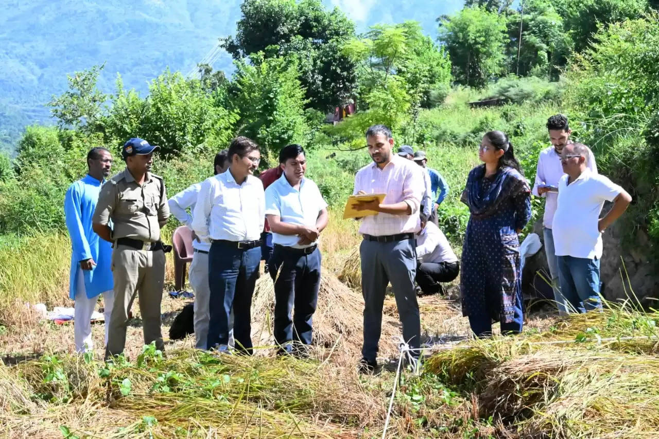 रतूडा में जिलाधिकारी ने किया फसल कटाई प्रयोग का निरीक्षण