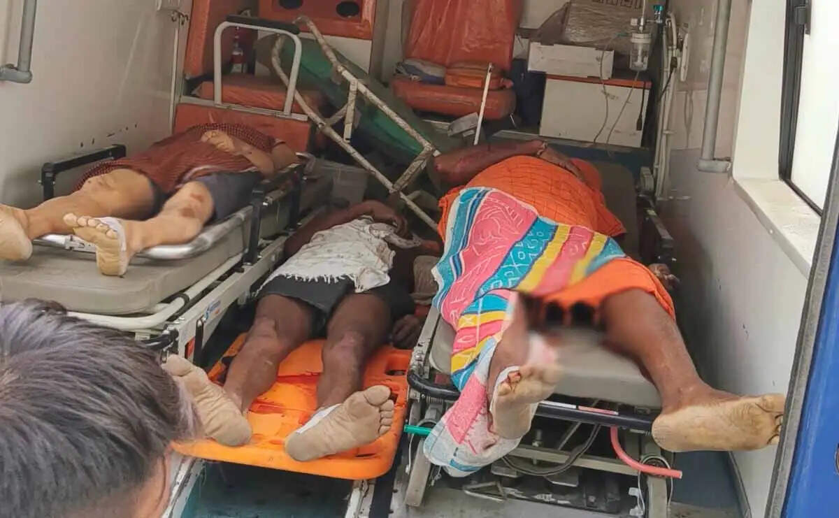 छत्तीसगढ़&nbsp;में&nbsp;मॉर्निंग वॉक पर&nbsp;निकले&nbsp;तीन लोगों को अज्ञात वाहन ने कुचला, मौके पर मौत