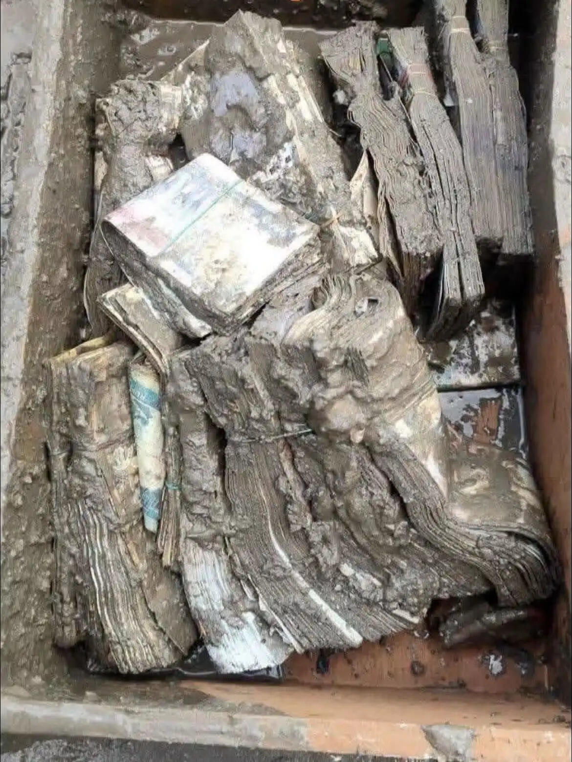 भोटेकोशी बाढ़ में डूबे कृषि विकास बैंक की शाखा से १.५ करोड़ नकद और 50 करोड़ रुपये का सोना बरामद