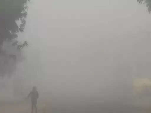 अनूपपुर: कोहरे एवं ठंड की चपेट में जिला विजिबिलिटी घट कर हुई 10 मीटर, प्राथमिक के बच्चों की छुट्टी