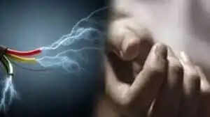 भोपाल के&nbsp;आईटी पार्क में खुले तार की चपेट में आने से माली की मौत