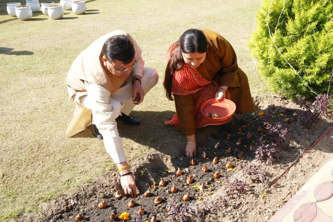 मुख्यमंत्री ने आवास परिसर में किया गया ट्यूलिप की 17 प्रजातियों का रोपण