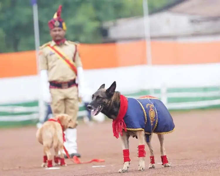 घुड़सवारों के साहस, महिला बैग पाईपर बैंड की लय और श्वान दल के रोमांचक प्रदर्शन से सजा स्वतंत्रता दिवस समारोह