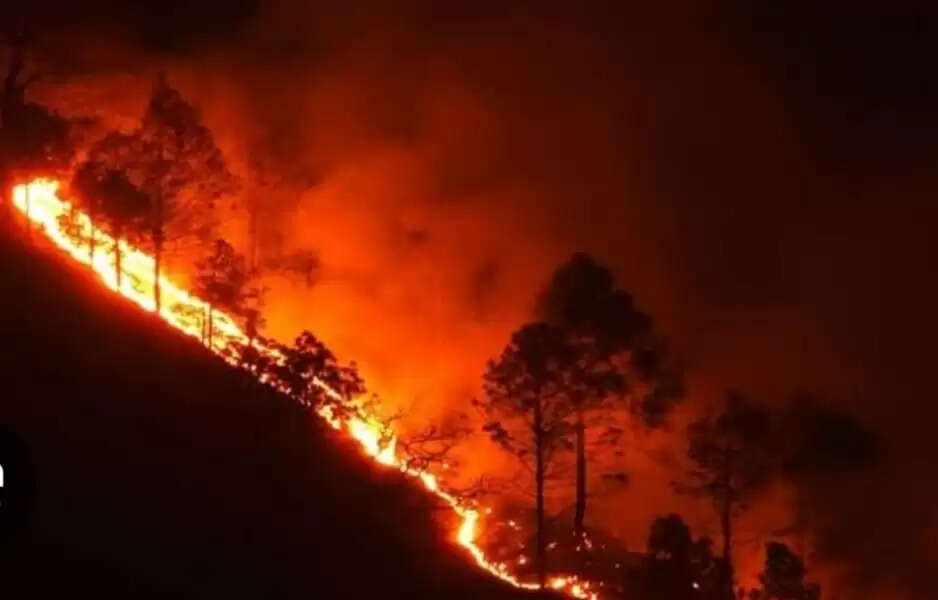 गंगा यमुना घाटी के जंगलों में दो दिन से धधक रही आग