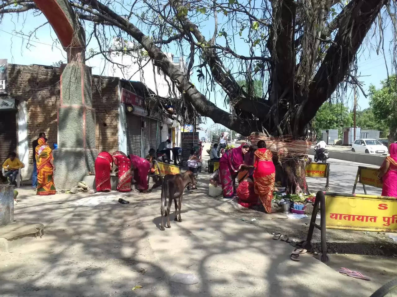 अनूपपुर: पति की लम्बी आयु कामना लिए महिलाओं ने वट वृक्ष का किया पूजन